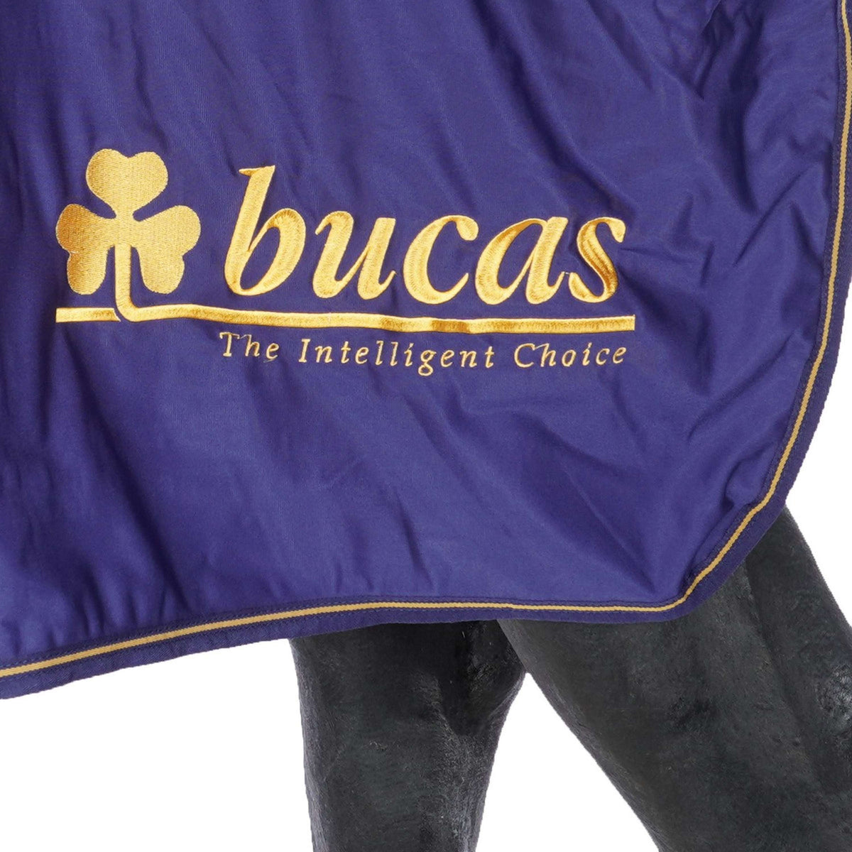 Bucas Prize Cooler Marino/oro Bucas logo