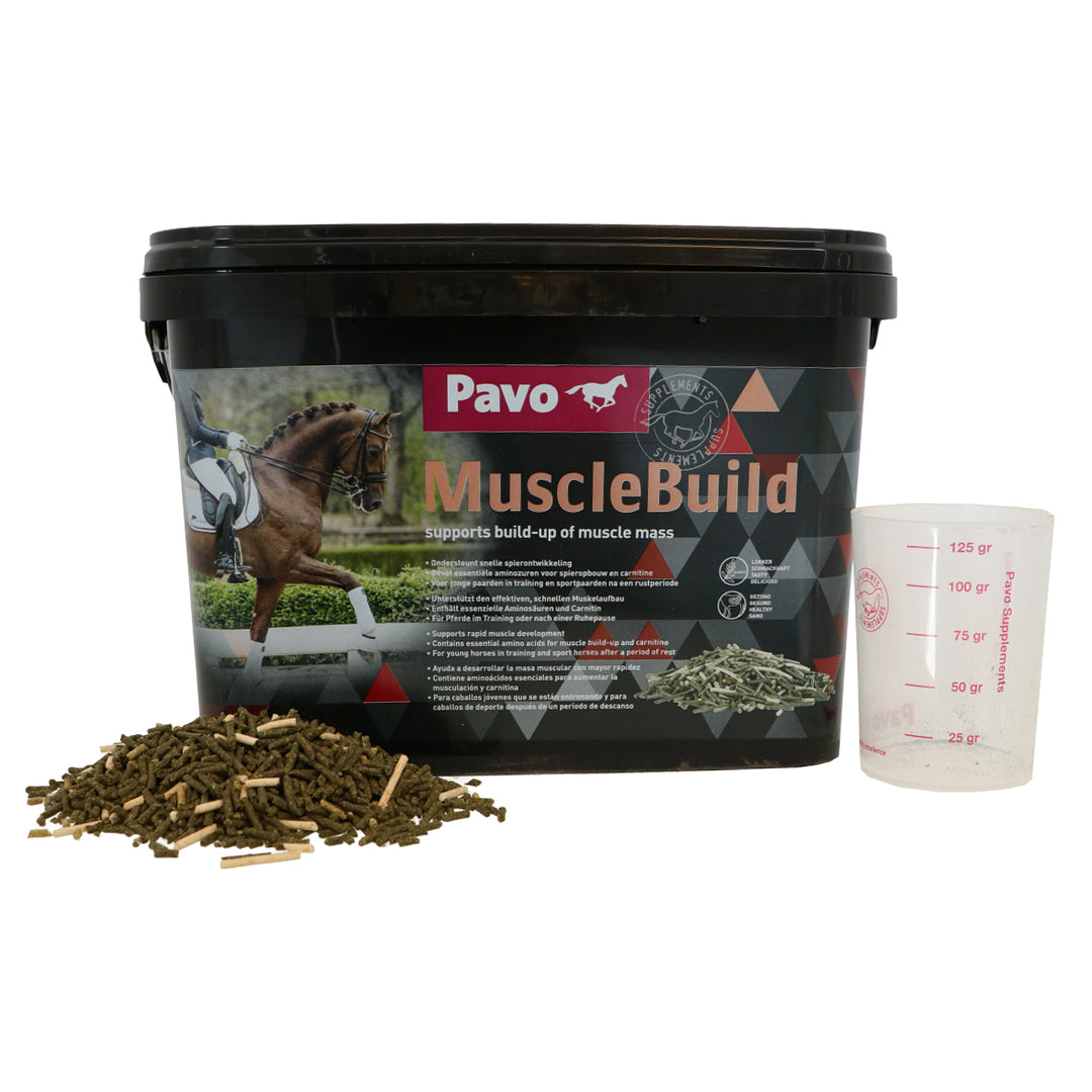 Pavo MuscleBuild Refill