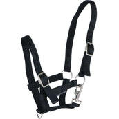 Harry's Horse Cabestro para Potro Negro