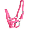 Harry's Horse Cabestro para Potro Rosa claro