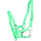 Harry's Horse Cabestro para Potro Lima