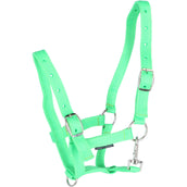 Harry's Horse Cabestro para Potro Lima