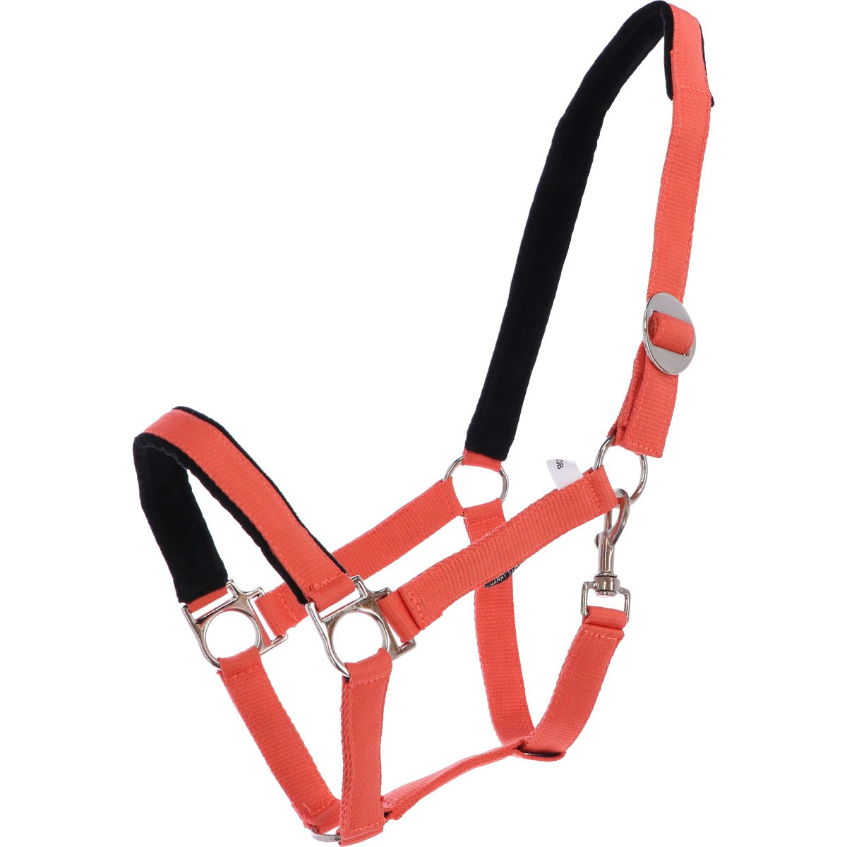Harry's Horse Cabezada Padded Naranja