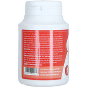 Animavital MSM/Glucosamina
