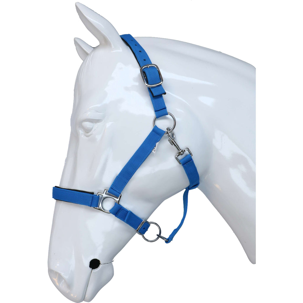 HKM Cabestro Stars Softice Azul cobalto