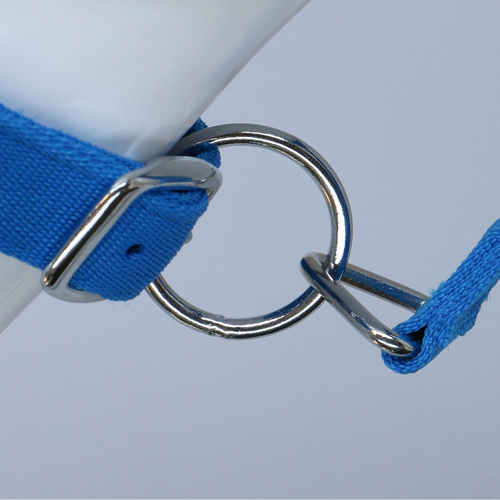 HKM Cabestro Stars Softice Azul cobalto