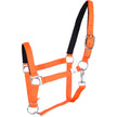 Naranja neon
