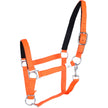 Naranja neon
