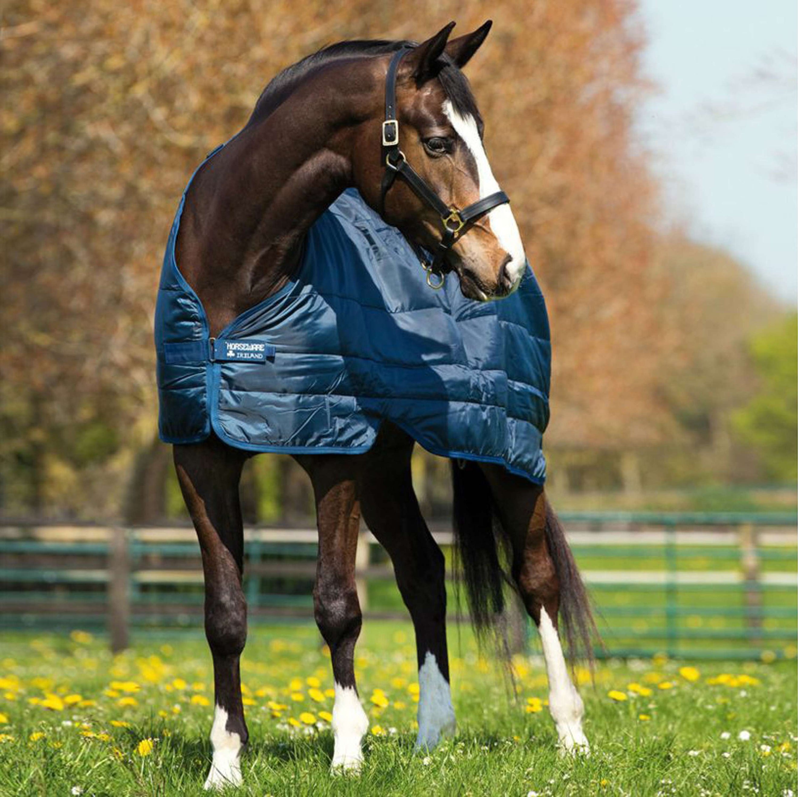 Horseware Liner 100g Navy