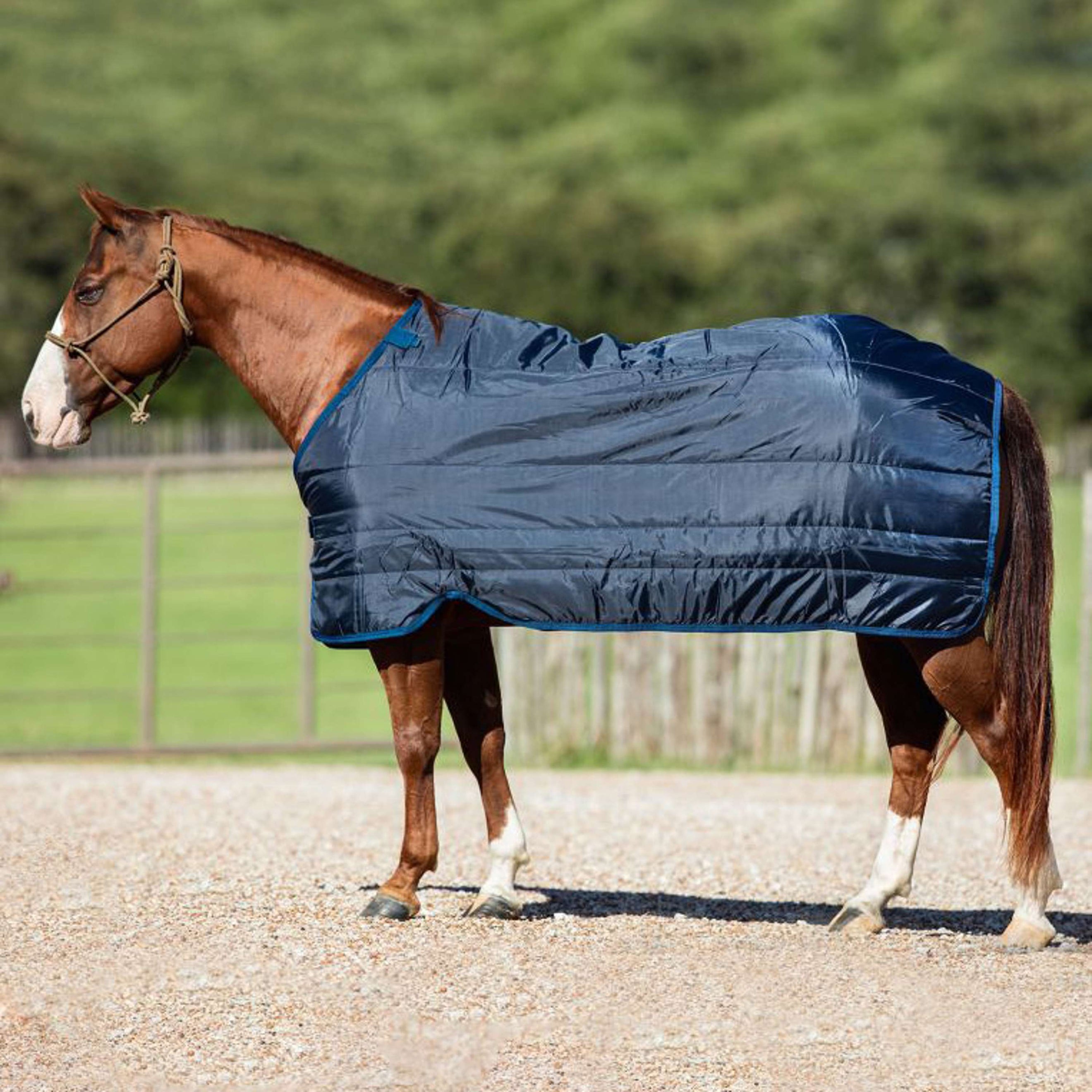 Horseware Liner 200g Navy