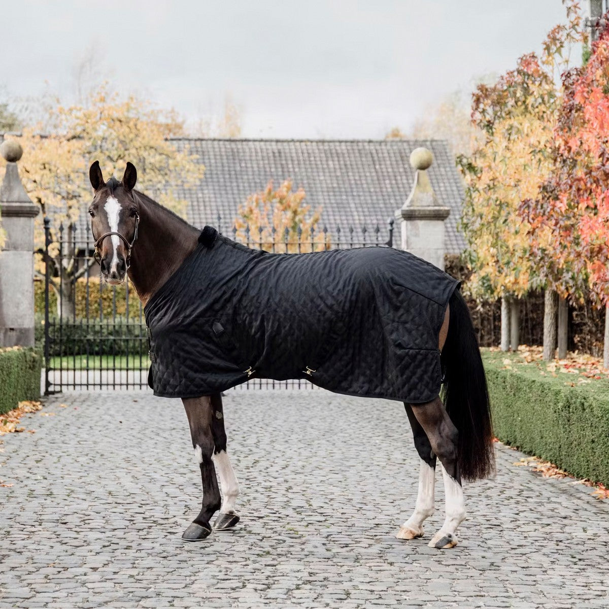 Kentucky Horsewear Manta de Establo Negro