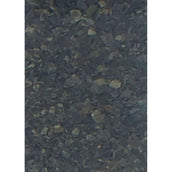 Vanilia Alga Marina Islandesa