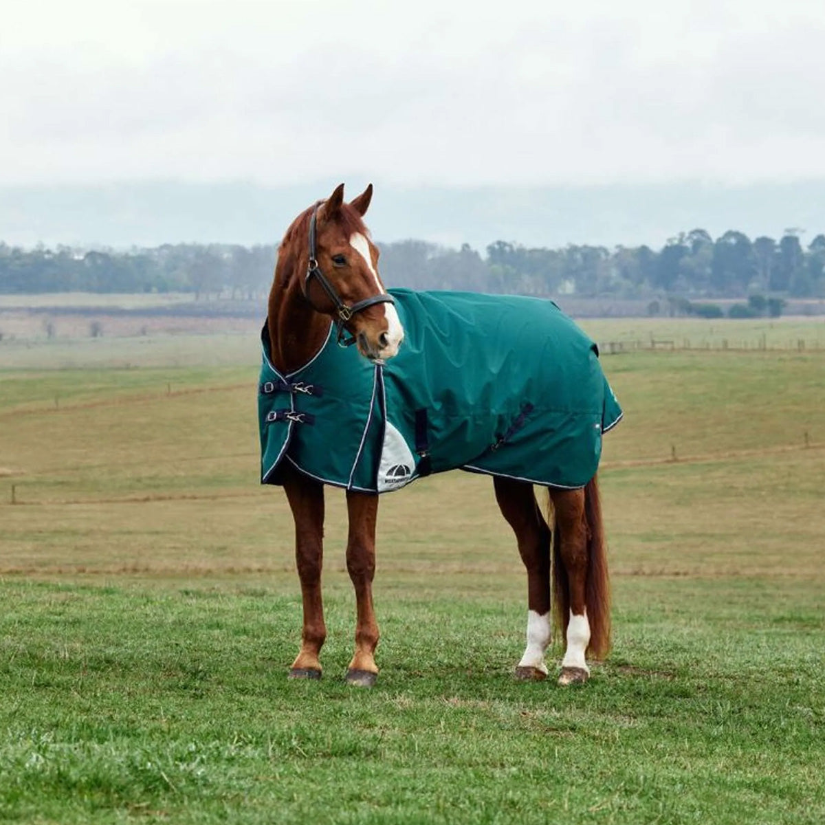 WeatherBeeta ComFiTec Plus Dynamic Turnout 0g Forest Green/Navy