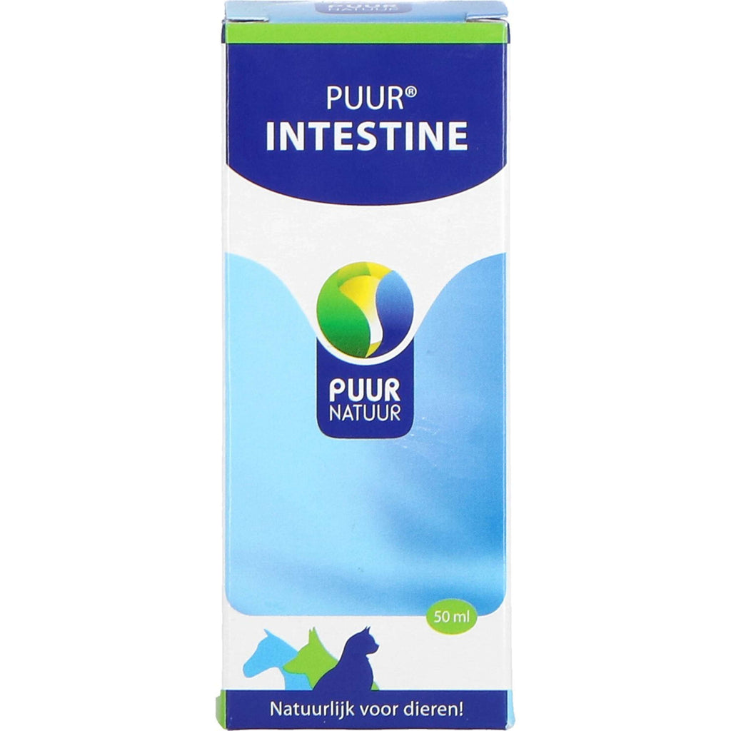 PUUR Intestino Perro y Gato