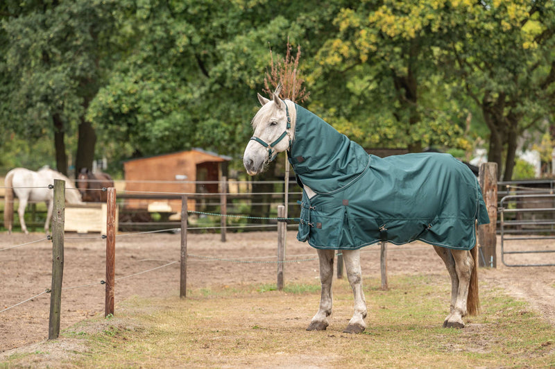 Agradi Horse Rug Set