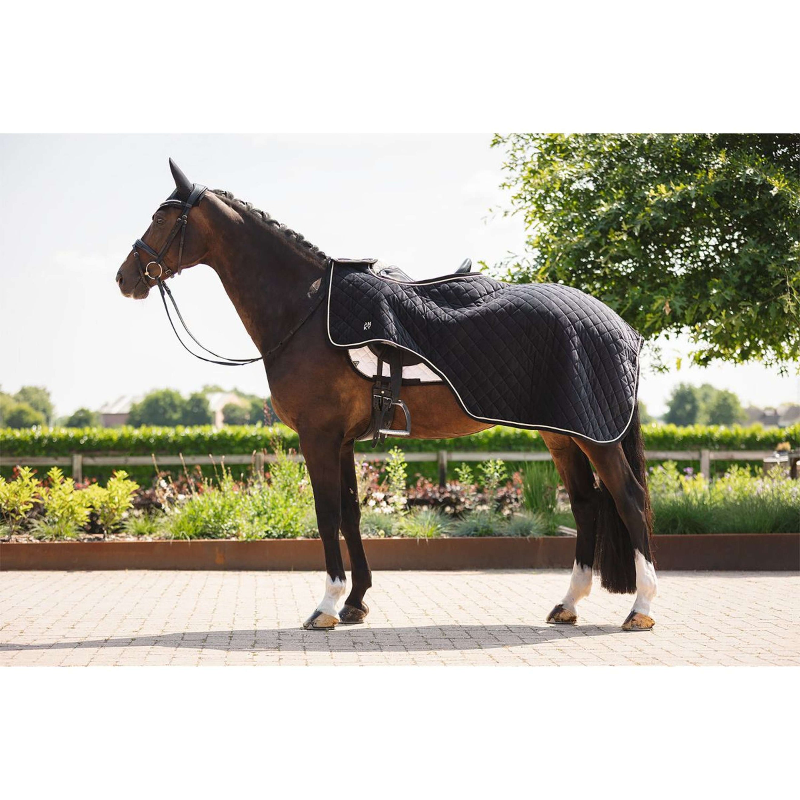ANKY Manta de ejercicio ATB25011 Negro ANKY Manta de ejercicio ATB25011 Negro