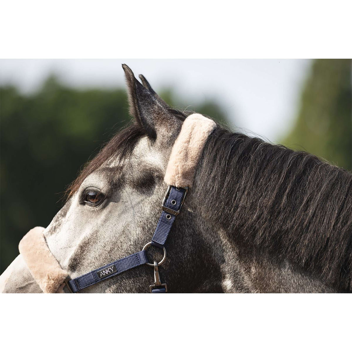 ANKY Juego de Cabestro Check Velvet ATH25002 Azul medianoche