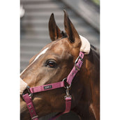 ANKY Juego de Cabestro Check Velvet ATH25002 Mellow Mauve