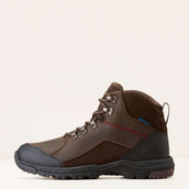 Ariat Zapatillas de exterior Skyline Mid Waterproof Hombres Marron chocolate