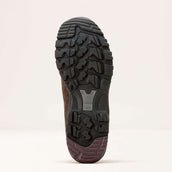 Ariat Zapatillas de exterior Skyline Mid Waterproof Hombres Marron chocolate