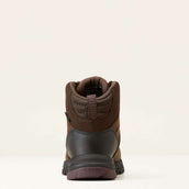 Ariat Zapatillas de exterior Skyline Mid Waterproof Mujer Marron chocolate