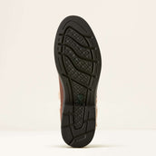 Ariat Zapatos para Exterior Harper Sherpa H2O Marron oscuro