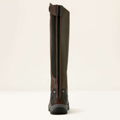 Ariat Botas de Equitación Telluride Tall H2O Marron oscuro
