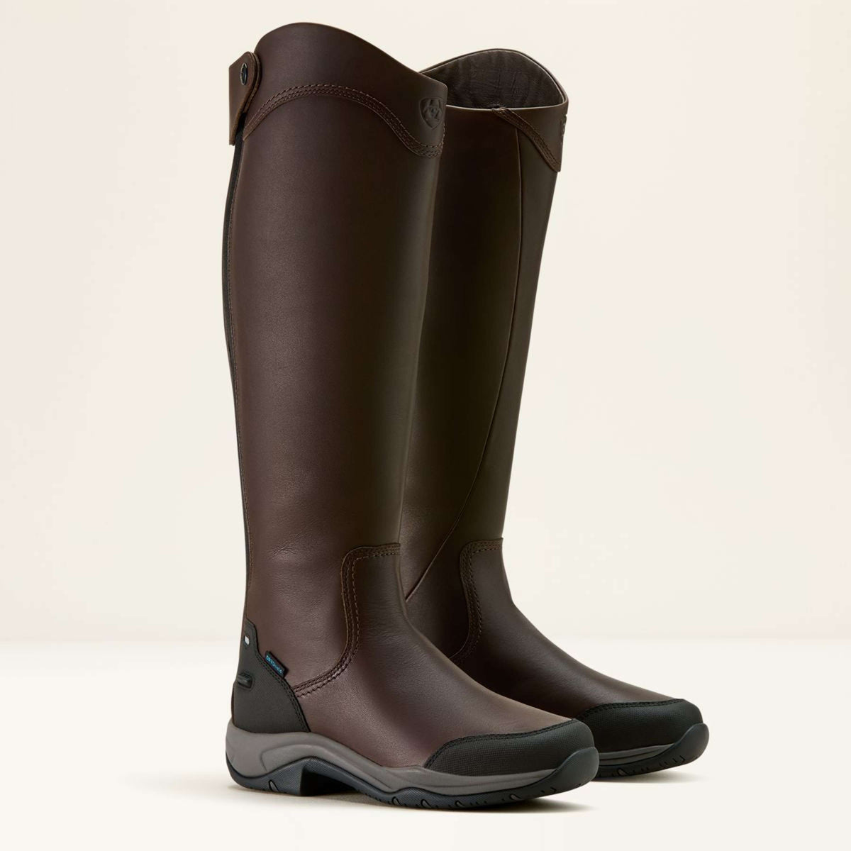 Ariat Botas de Equitación Telluride Tall H2O Marron oscuro