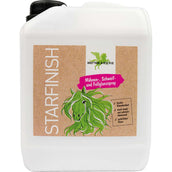 Bense & Eicke Spray Brillante StarFinish