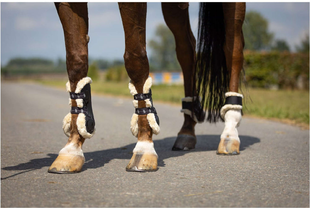BR Botas para tendones Urban Comfort Negro