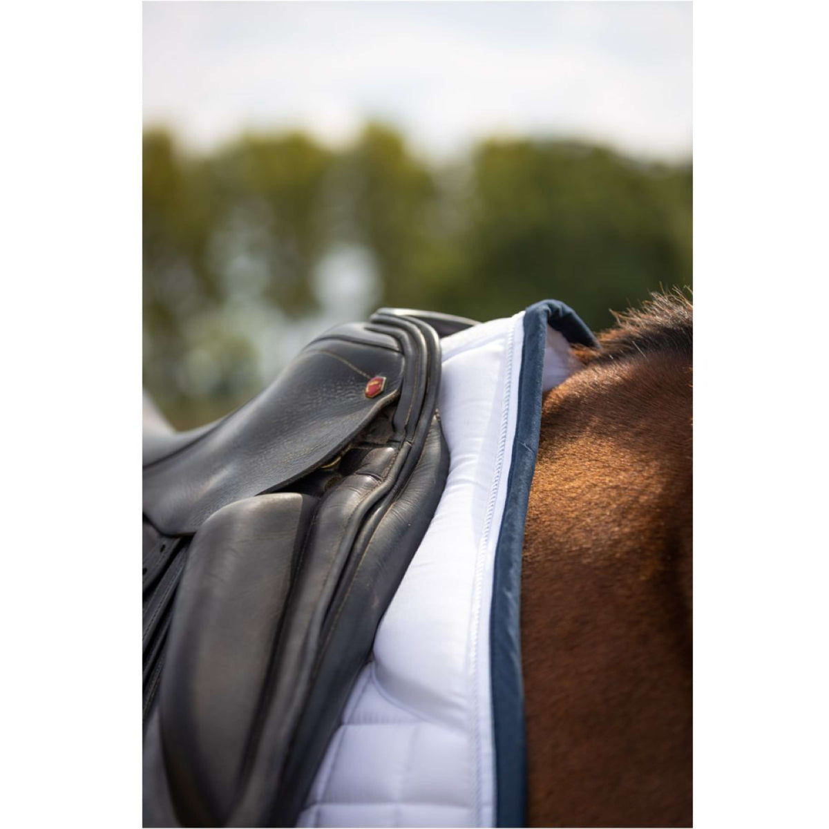 BR Mantilla C-Wear Saltillo Doma Blanco