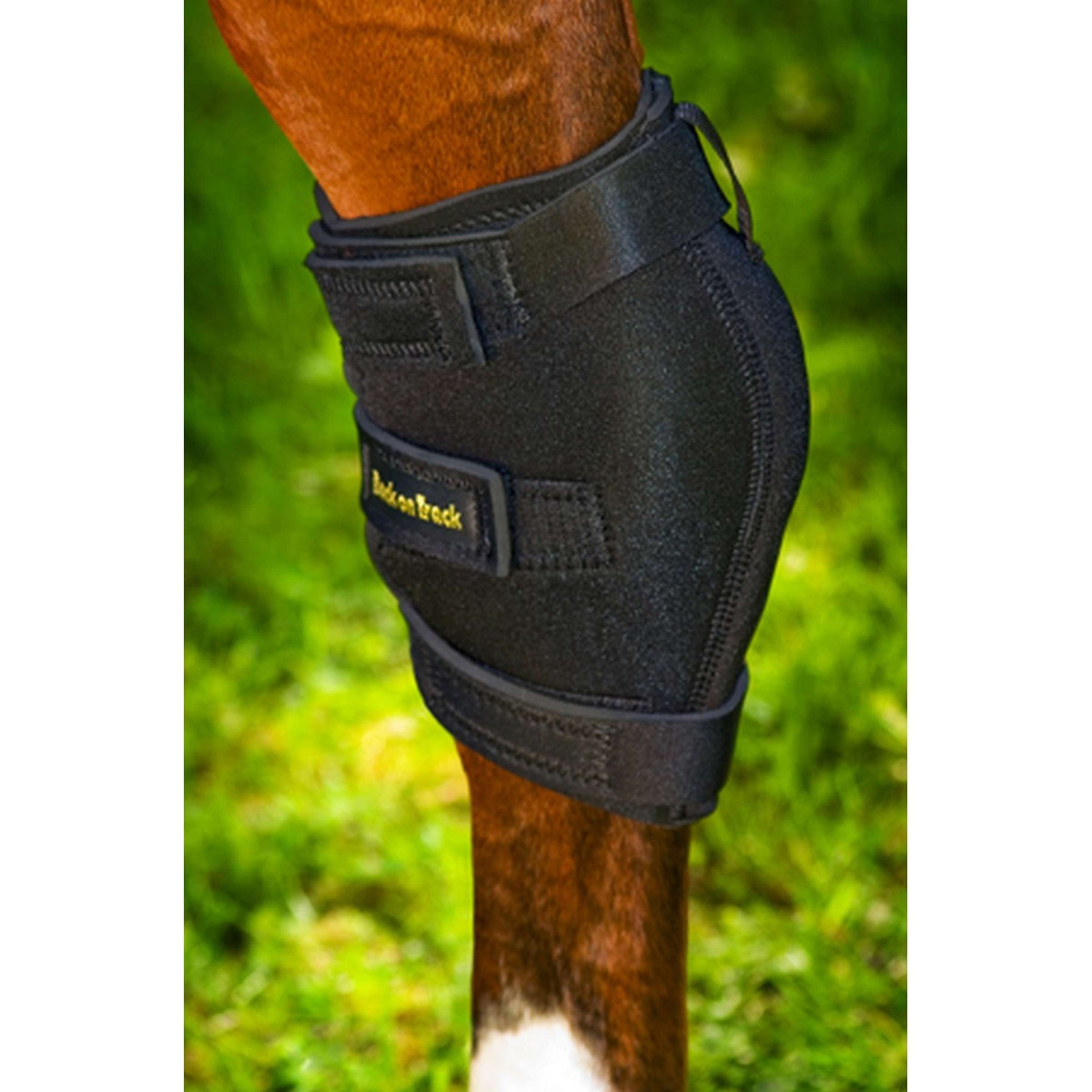 Back on Track Protector de talón articulación tarsal Rechts Negro