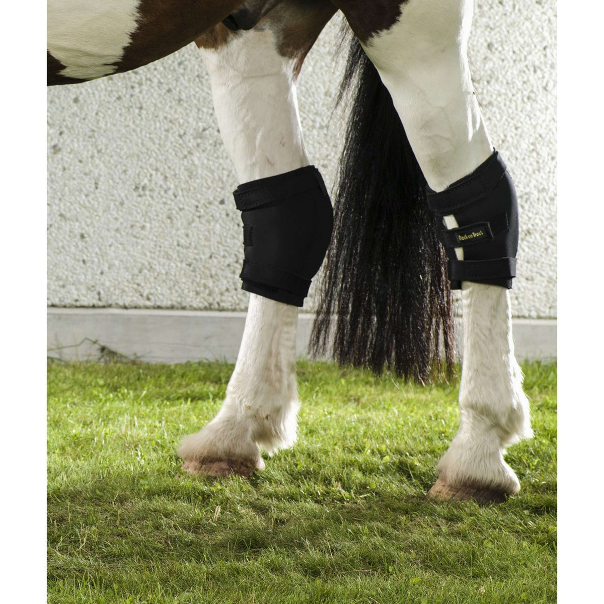 Back on Track Protector de talón articulación tarsal Rechts Negro