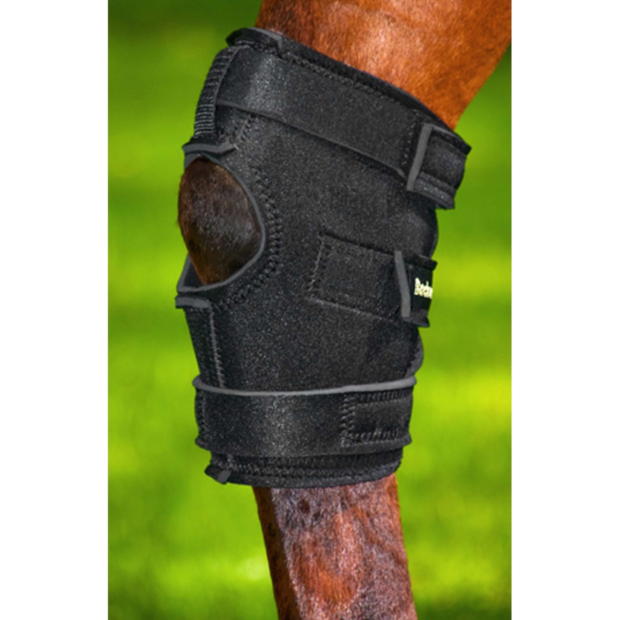 Back on Track Protector de talón articulación tarsal Agujero Izquierdo Negro