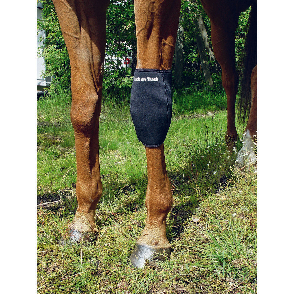 Back on Track Protector de Rodilla Links Negro