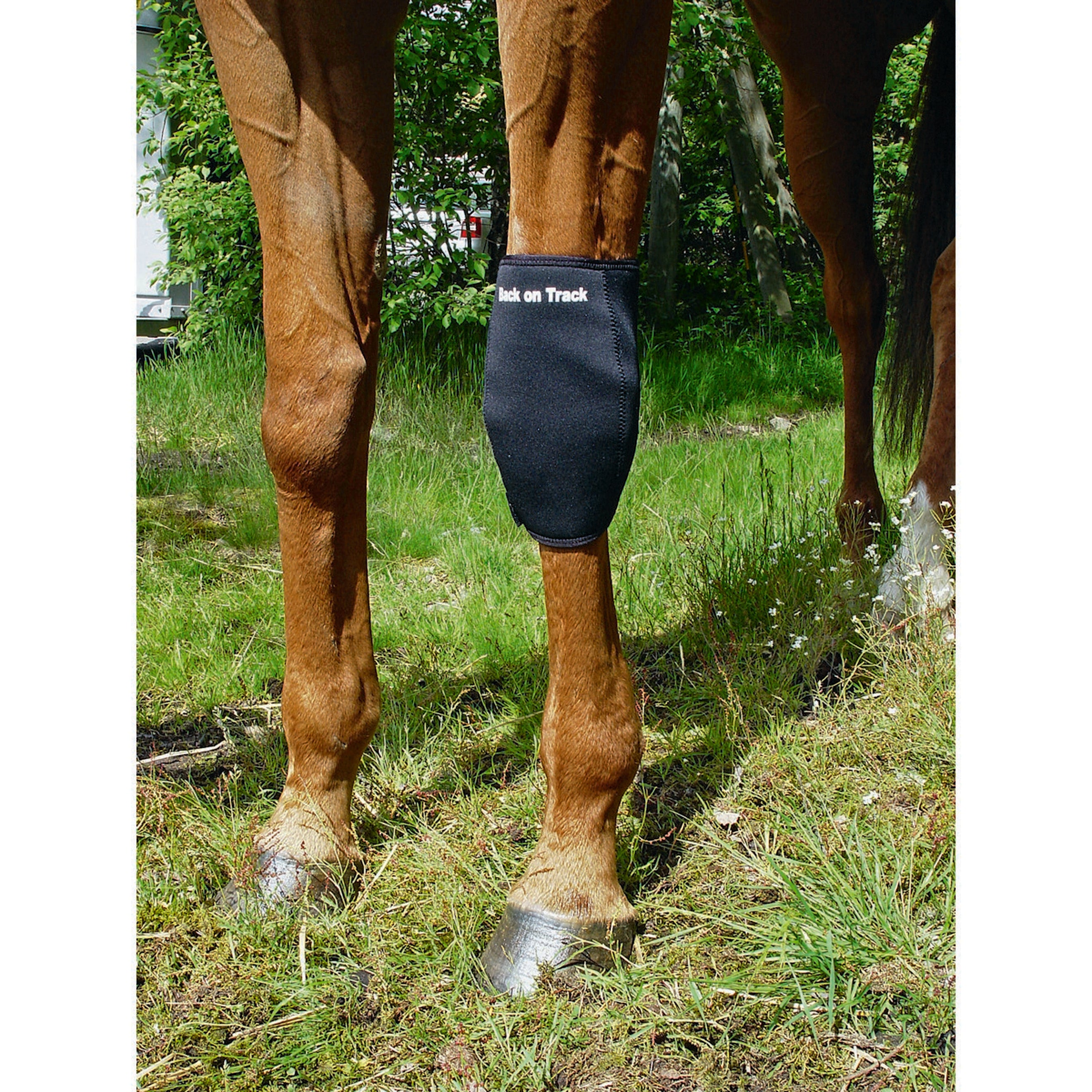 Back on Track Protector de Rodilla Links Negro