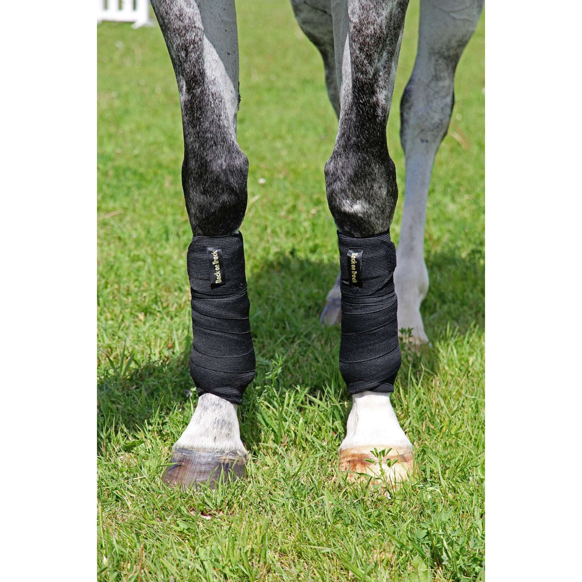 Back on Track Vendajes Combi per Paar Negro