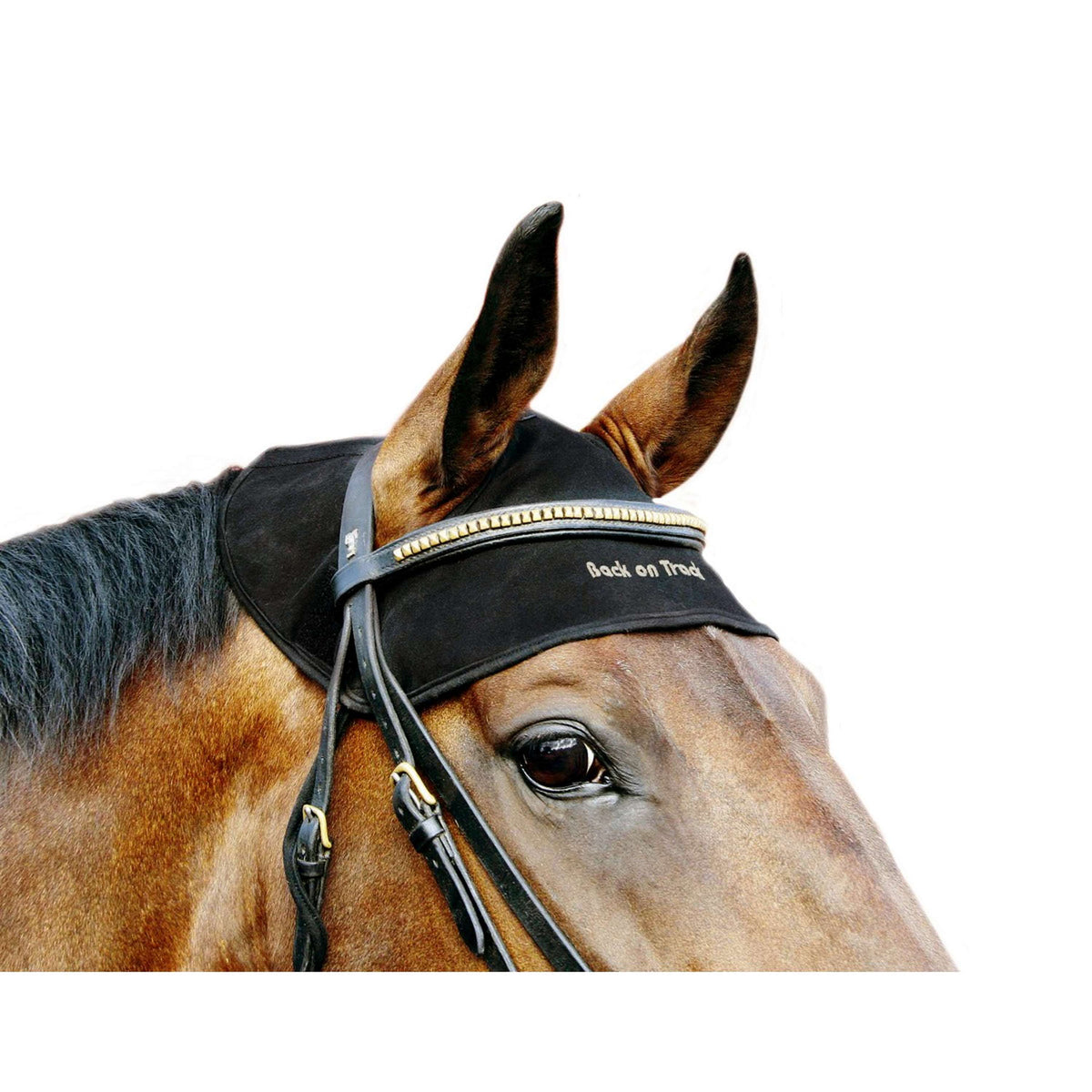 Back on Track Protector de Cuello Negro