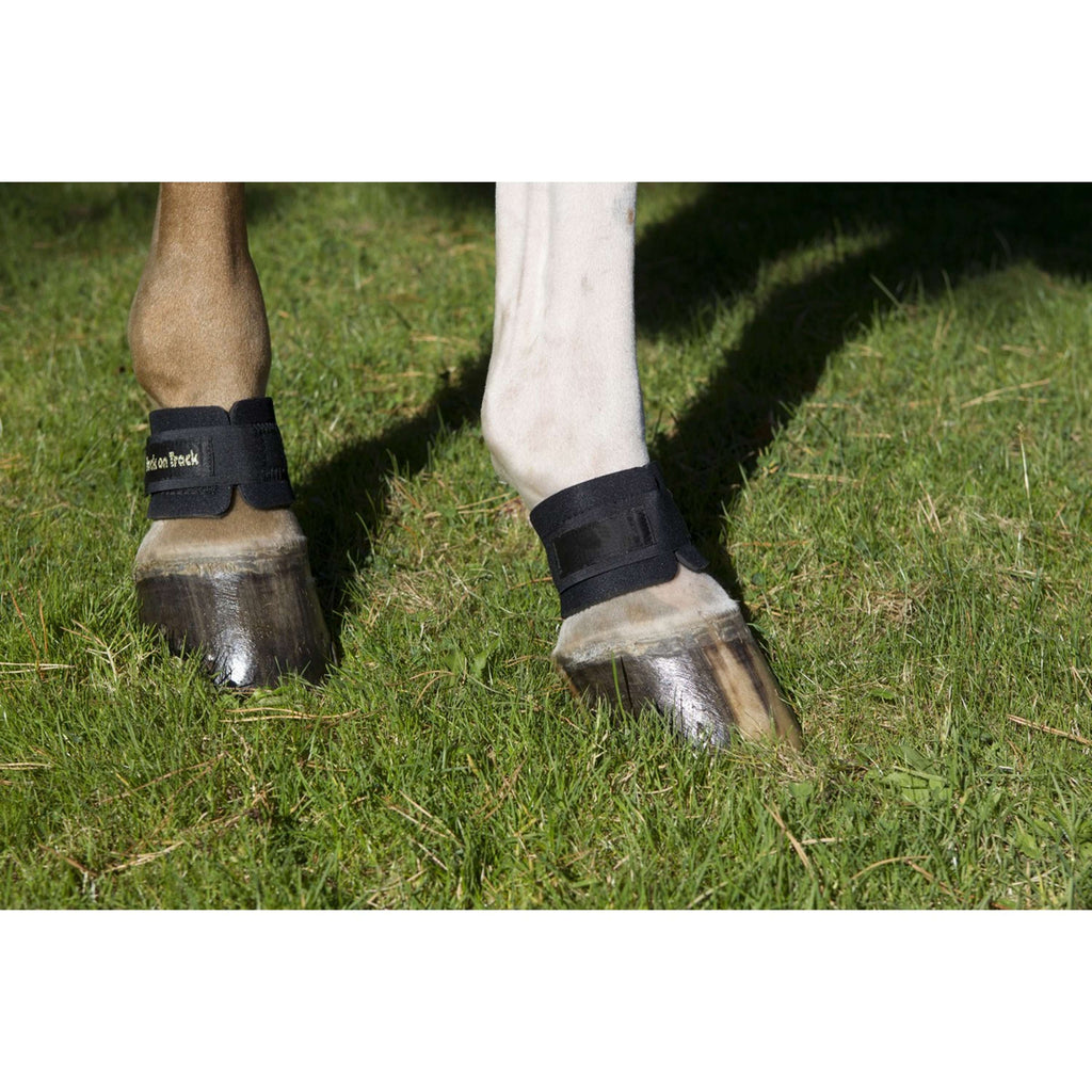 Back on Track Protector de menudillo Negro