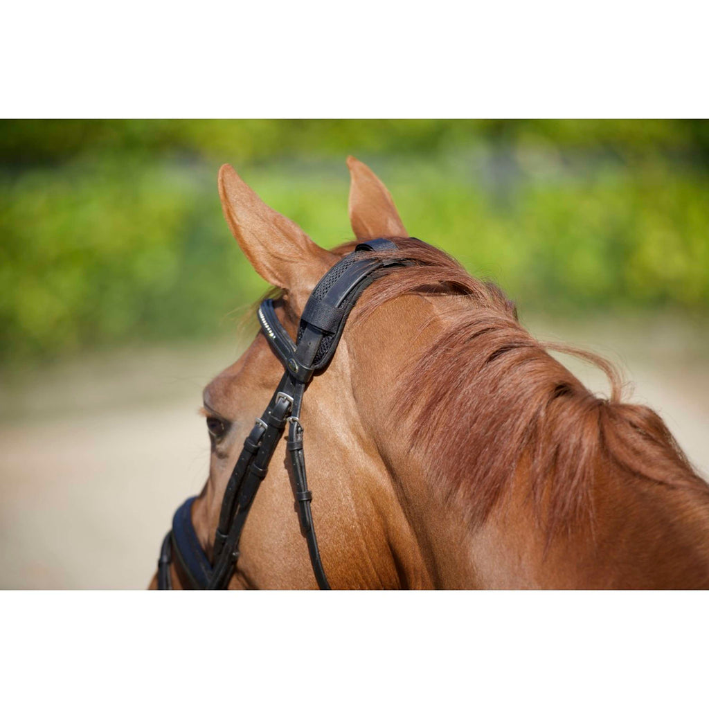 Back on Track Protector de Cuello Velcro Negro