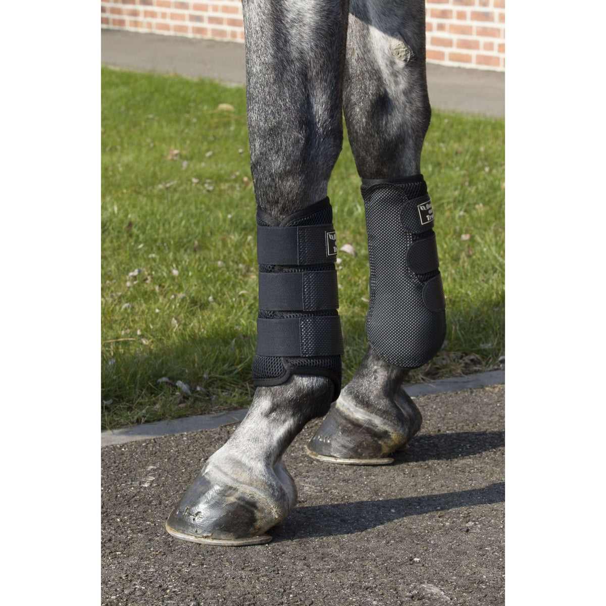Back on Track Brush Boot 3D Mesh Negro