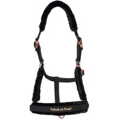 Back on Track Cabezada Haze Negro/Oro Rosa