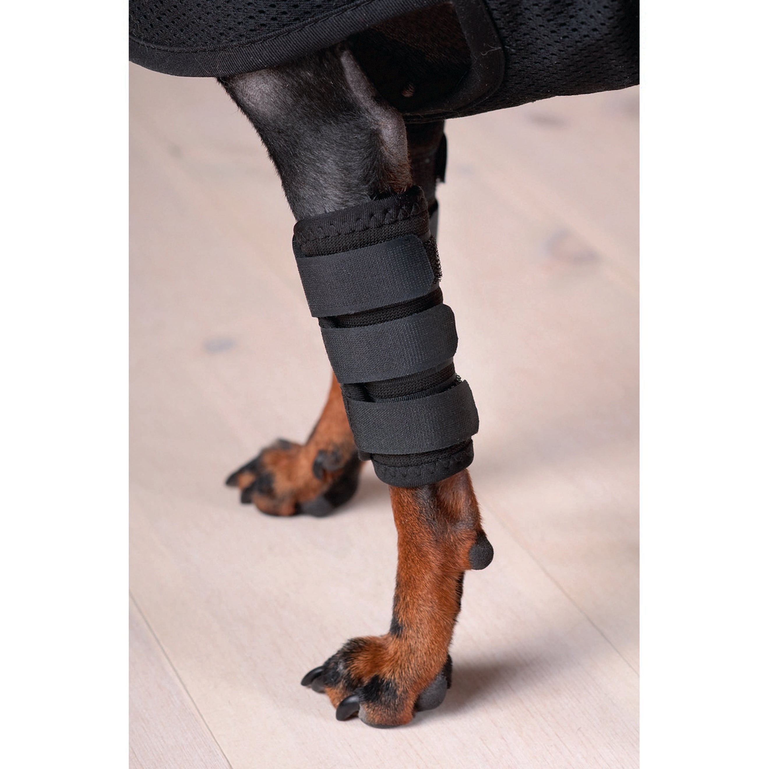 Back on Track Botas para tendones con Velcro Perro Negro Back on Track Botas para tendones con Velcro Perro Negro