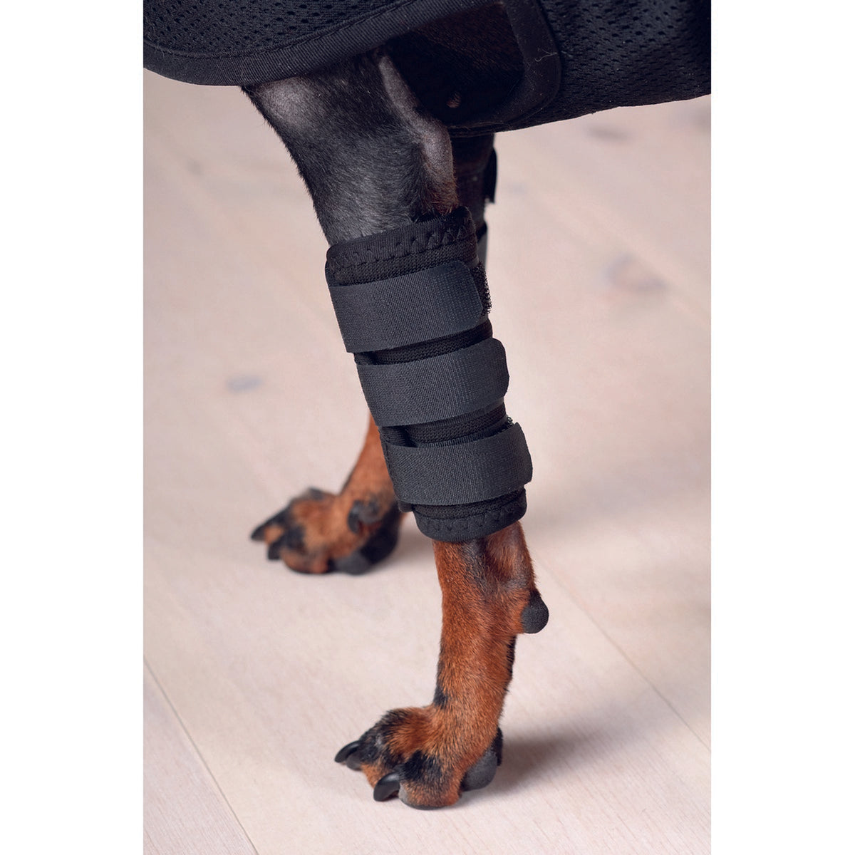 Back on Track Botas para tendones con Velcro Perro Negro