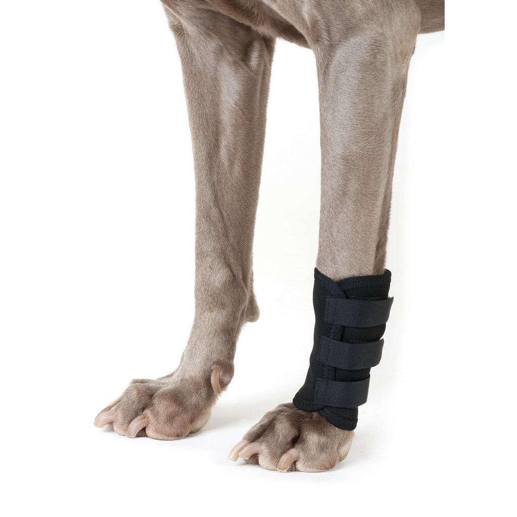 Back on Track Botas para tendones con Velcro Perro Negro