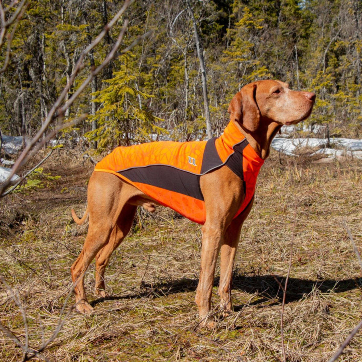 Back on Track Manta para Perros Eddie High Visibility Jumper Naranja