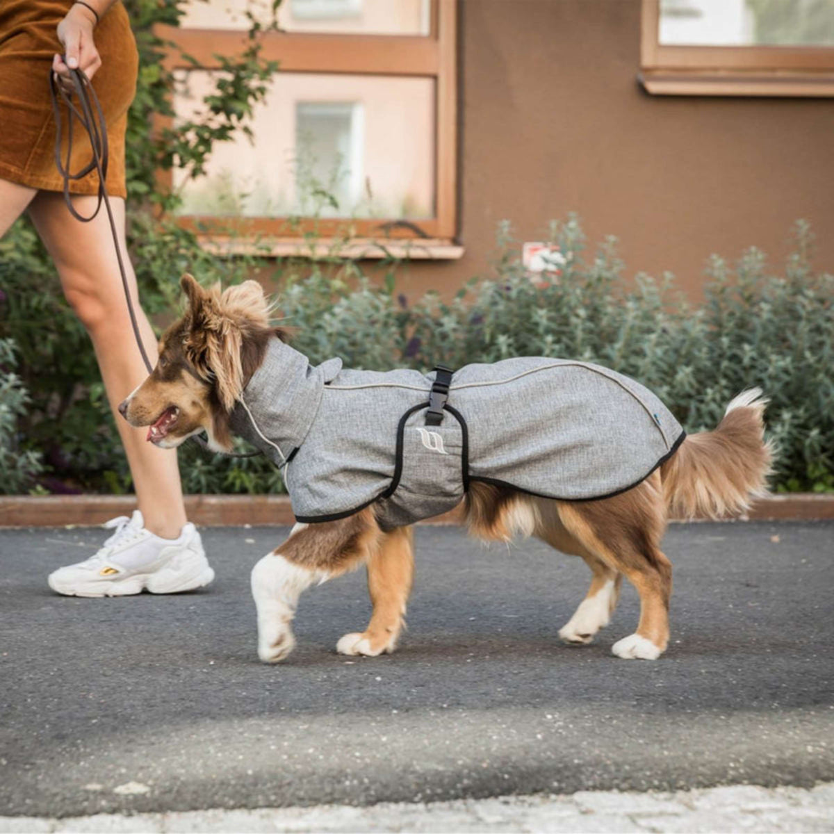 Back on Track Manta para Perros Nella All-Round Coat Gris