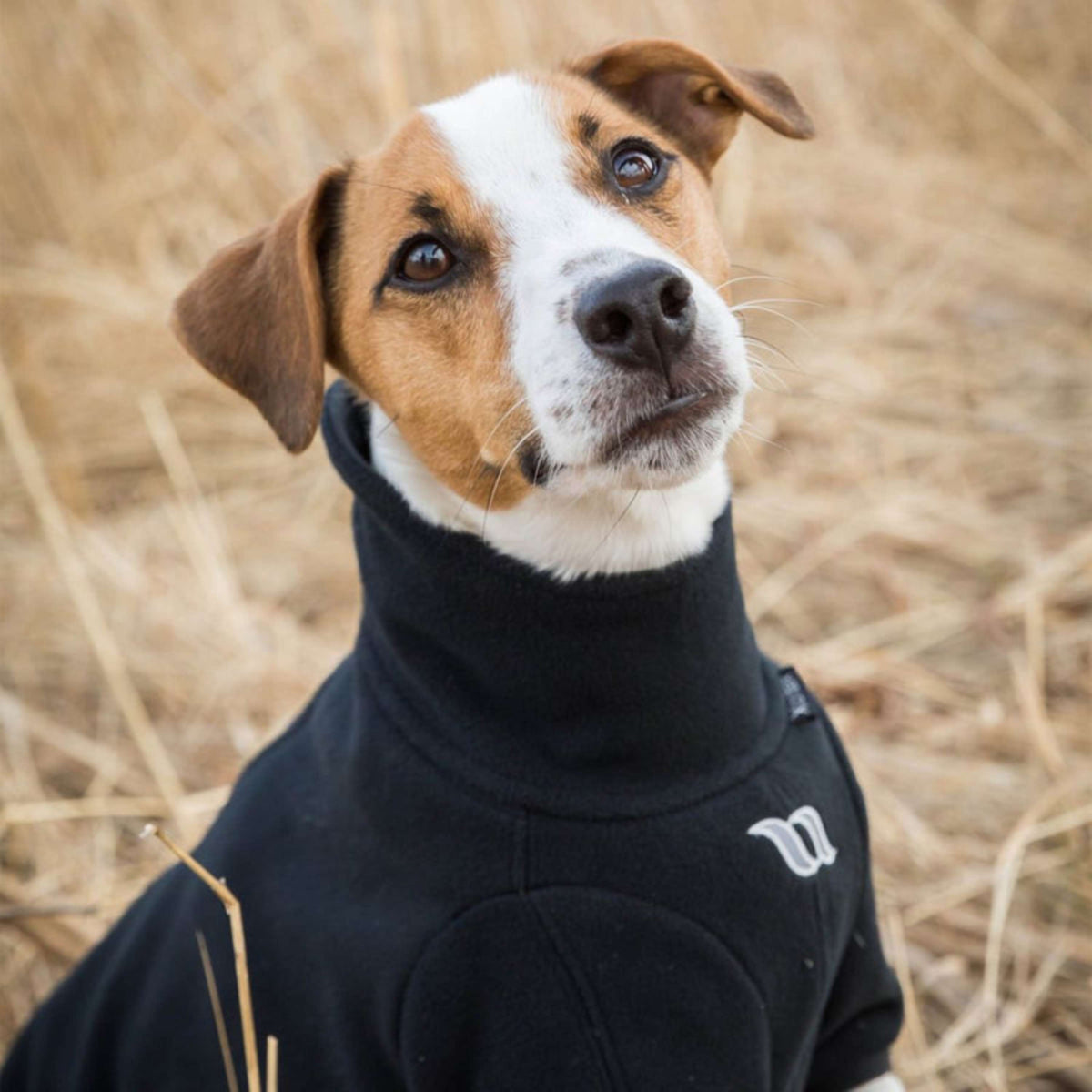 Back on Track Manta para Perros Cassie All-Weather Jumper Negro