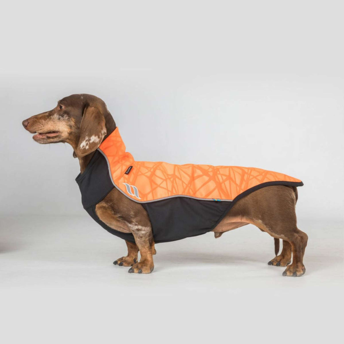 Back on Track Manta para Perros Eddie High Visibility Jumper Petite Naranja