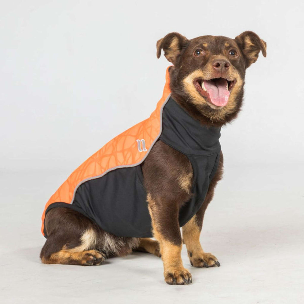 Back on Track Manta para Perros Eddie High Visibility Jumper Petite Naranja